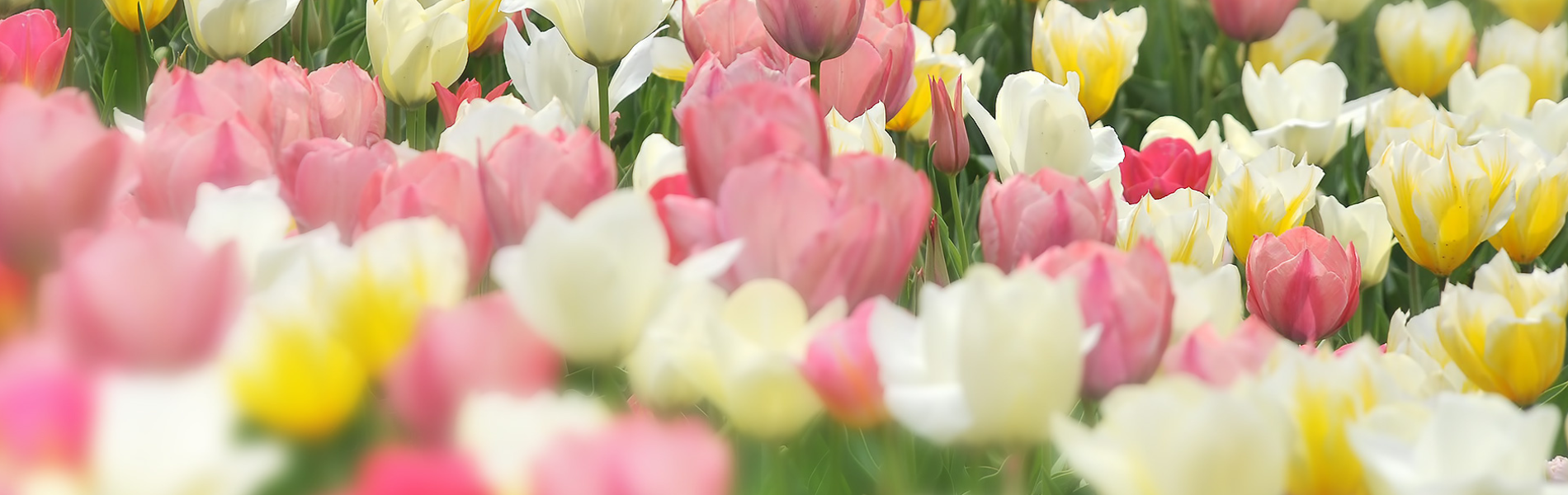 ちょっとした不安やご相談も無料！